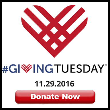 #givingtuesday logo, the date is 11.29.2016, with a donate now button below it