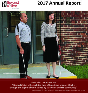 2017 Annual Report Cover. Accessible text version available.