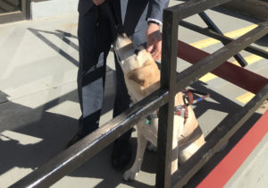 Guillermo stands in front of the entrance to Beyond Vision. He is looking down at Keely, his guide dog, petting her and she is looking up at him.