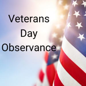 Veterans Day Observance with flag in the background