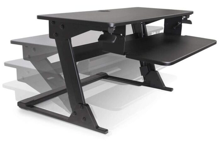 Sit Stand Action Pic